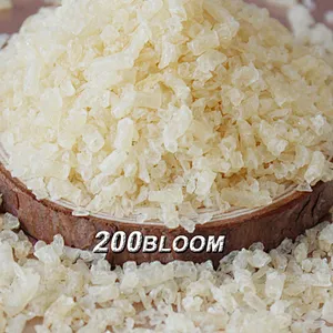 Hot Selling Food Grade Gelatin Powder Halal Gelatin 280 bloom 8mesh HS3503001